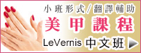 LVNS中文版